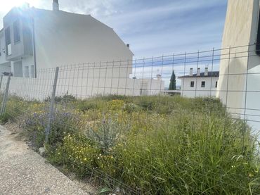 Terreni e lotti in vendita a Centro