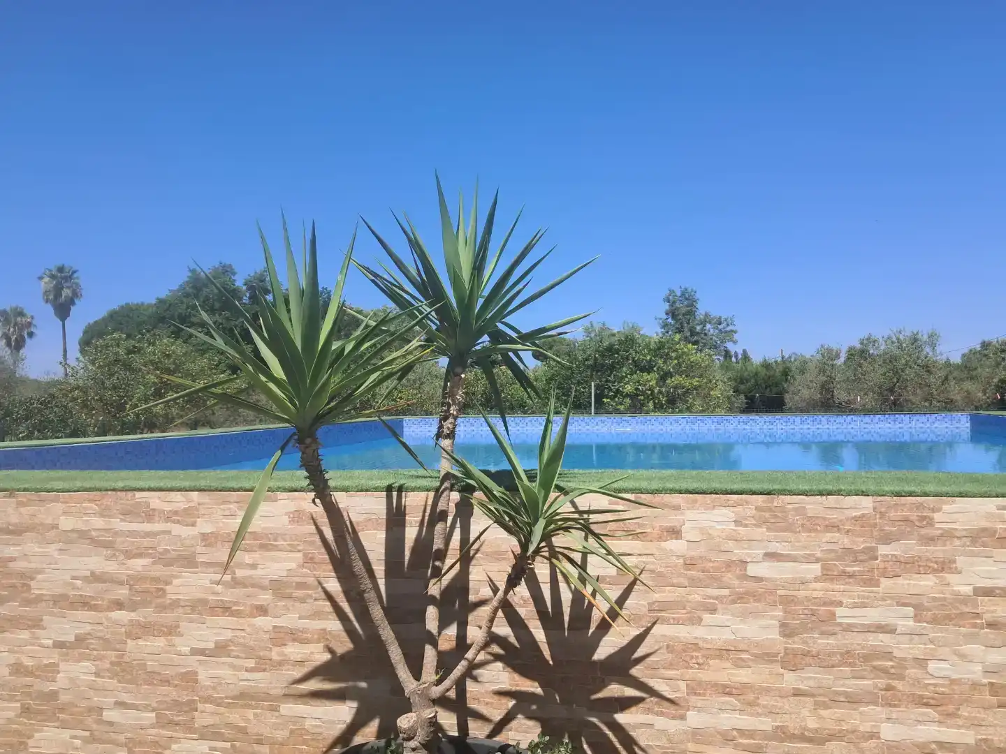 Piscina de Finca rústica en venda en Gibraleón amb Piscina