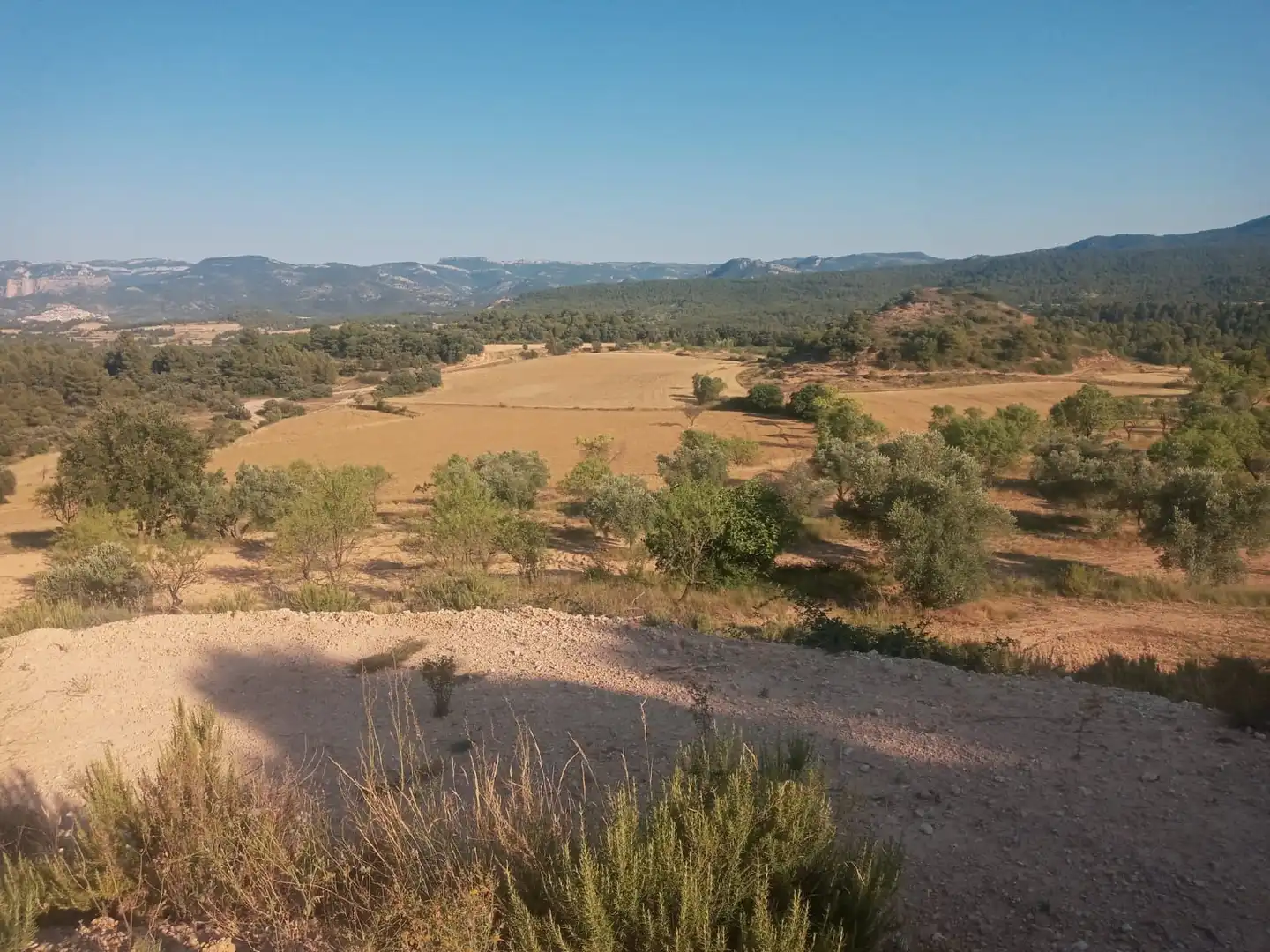 Terreni e lotti in vendita a Monroyo, imagen 3