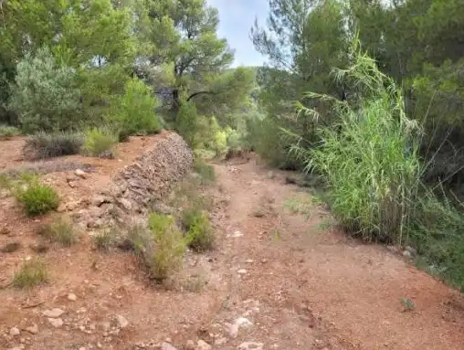 Terrain rustique à vendre à Pt La Costera de Játiva, imagen 8