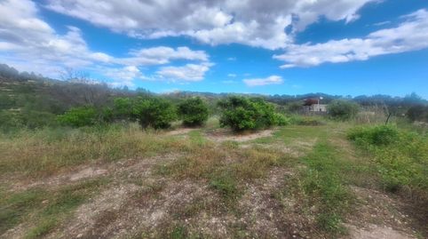 Foto 2 de Finca rústica en venta en Benissa pueblo, Benissa