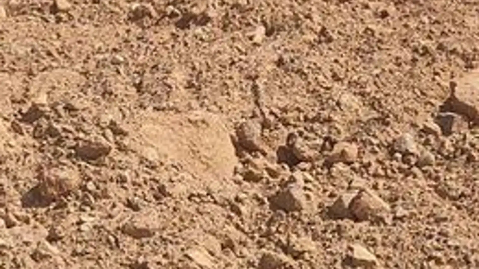 Terreno en venta en Roquetas de Mar