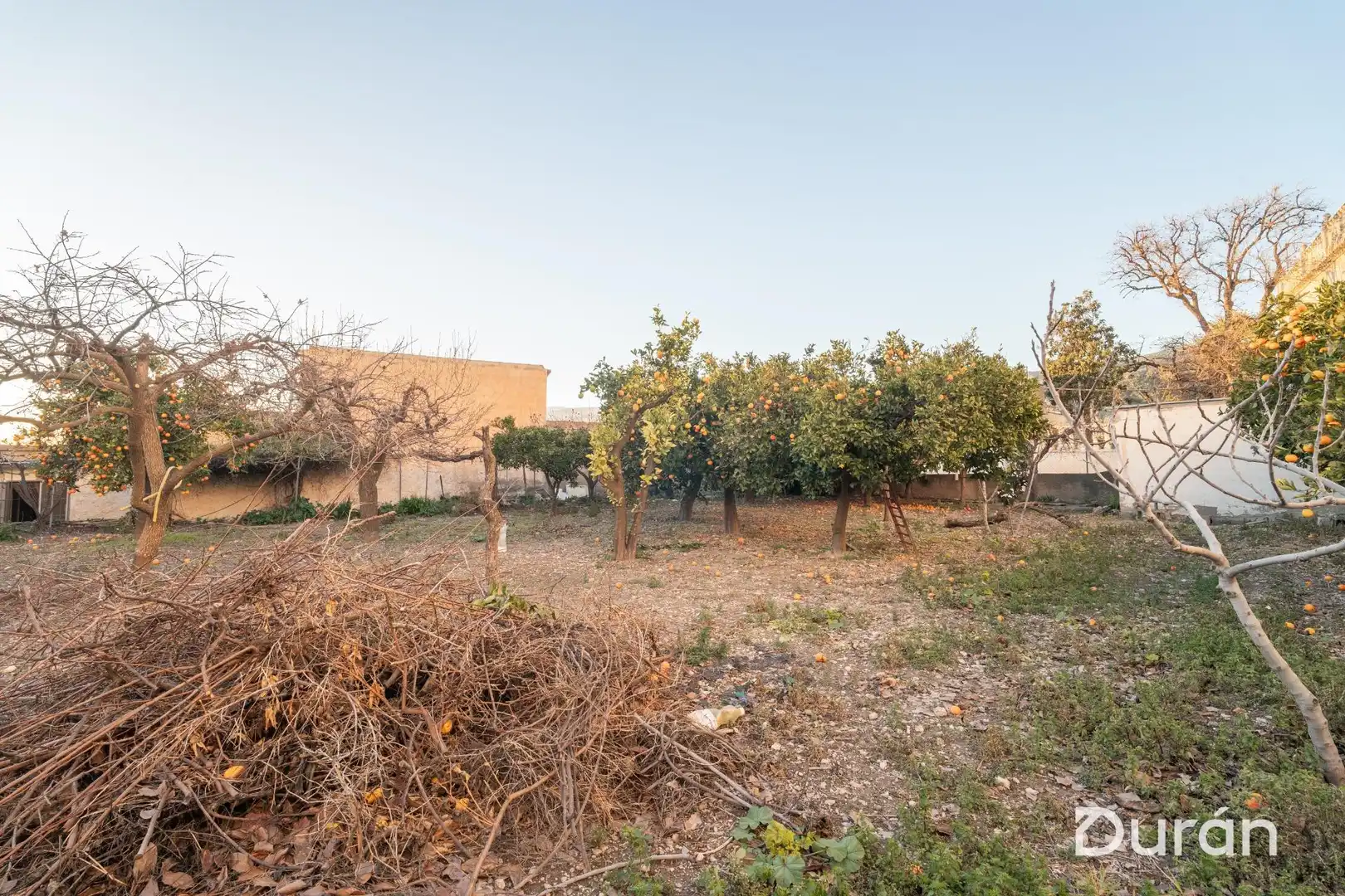 Finca rústica en venda en Alcolea amb Aire condicionat, Jardí privat i Traster