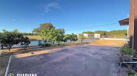 Foto 5 de Finca rústica en venta en Lepe, Huelva
