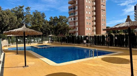 Foto 2 de Apartamento en venta en Mtro Celestino Verdu Hnde, 1, Puerto Deportivo, Guardamar del Segura