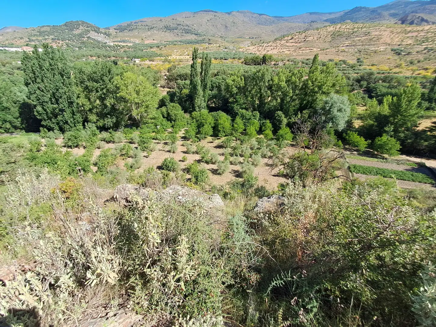 Country house for sale in Fondón, imagen 16
