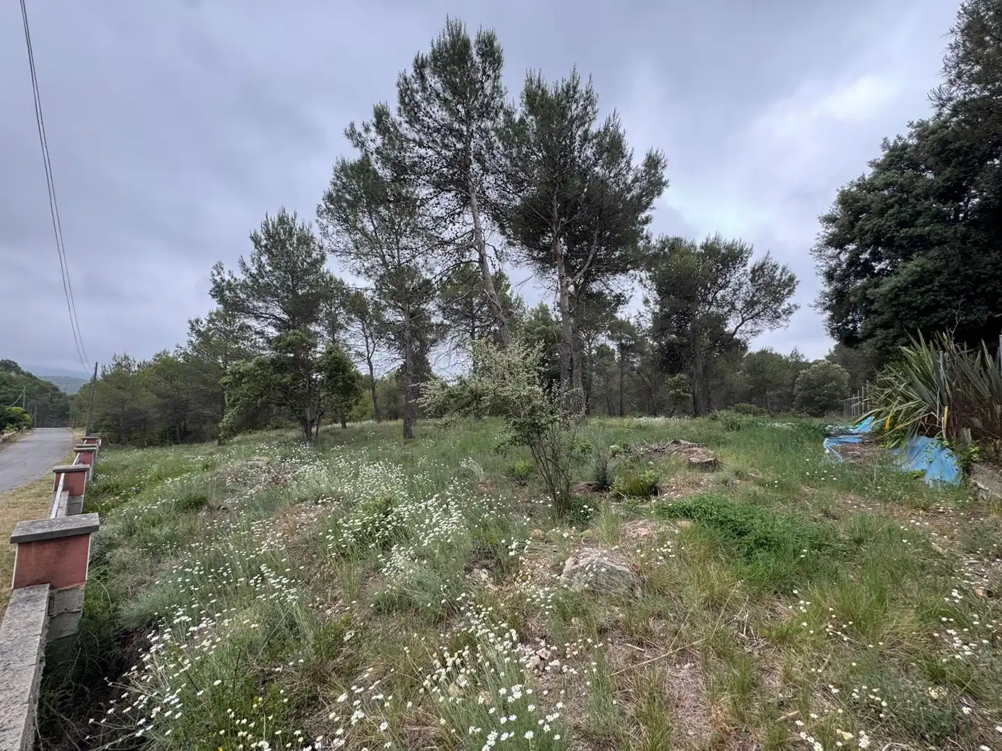 Terreno residenziale in vendita a Avinguda del Bosc, imagen 10