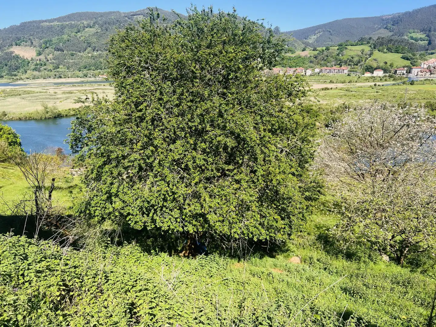Casa o chalet en venta en Voto con Terraza, Trastero y Balcón