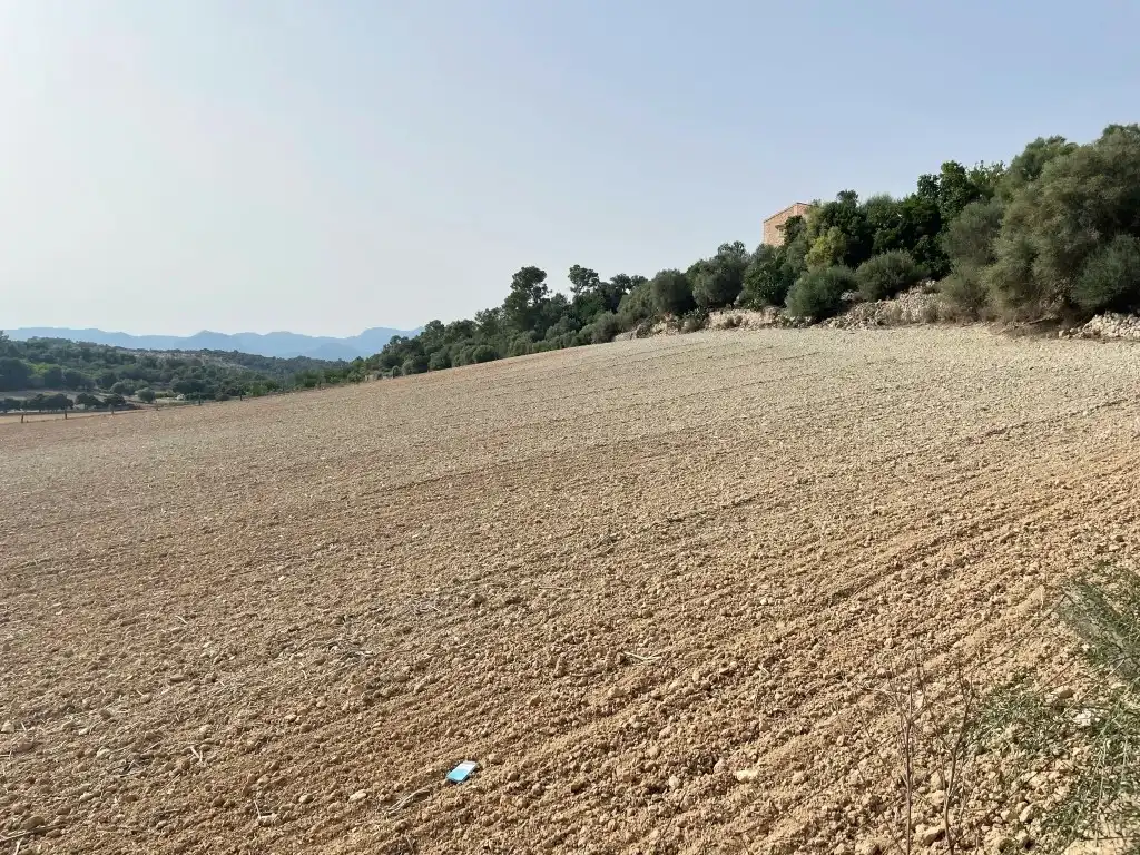 Rural land for sale in Sineu, imagen 15
