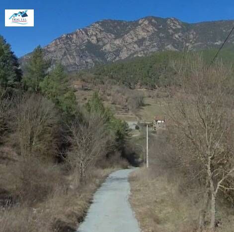 Vista exterior de Casa o xalet en venda en Arsèguel amb Jardí privat