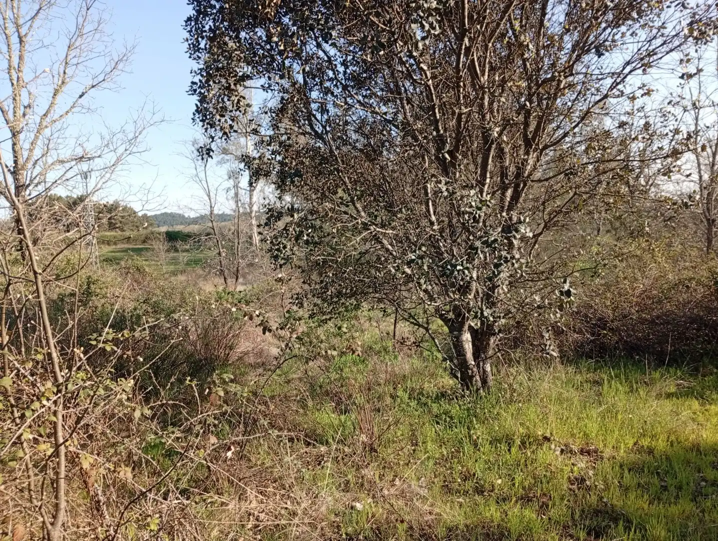 Terreni e lotti in vendita a Villanueva de la Vera, imagen 50