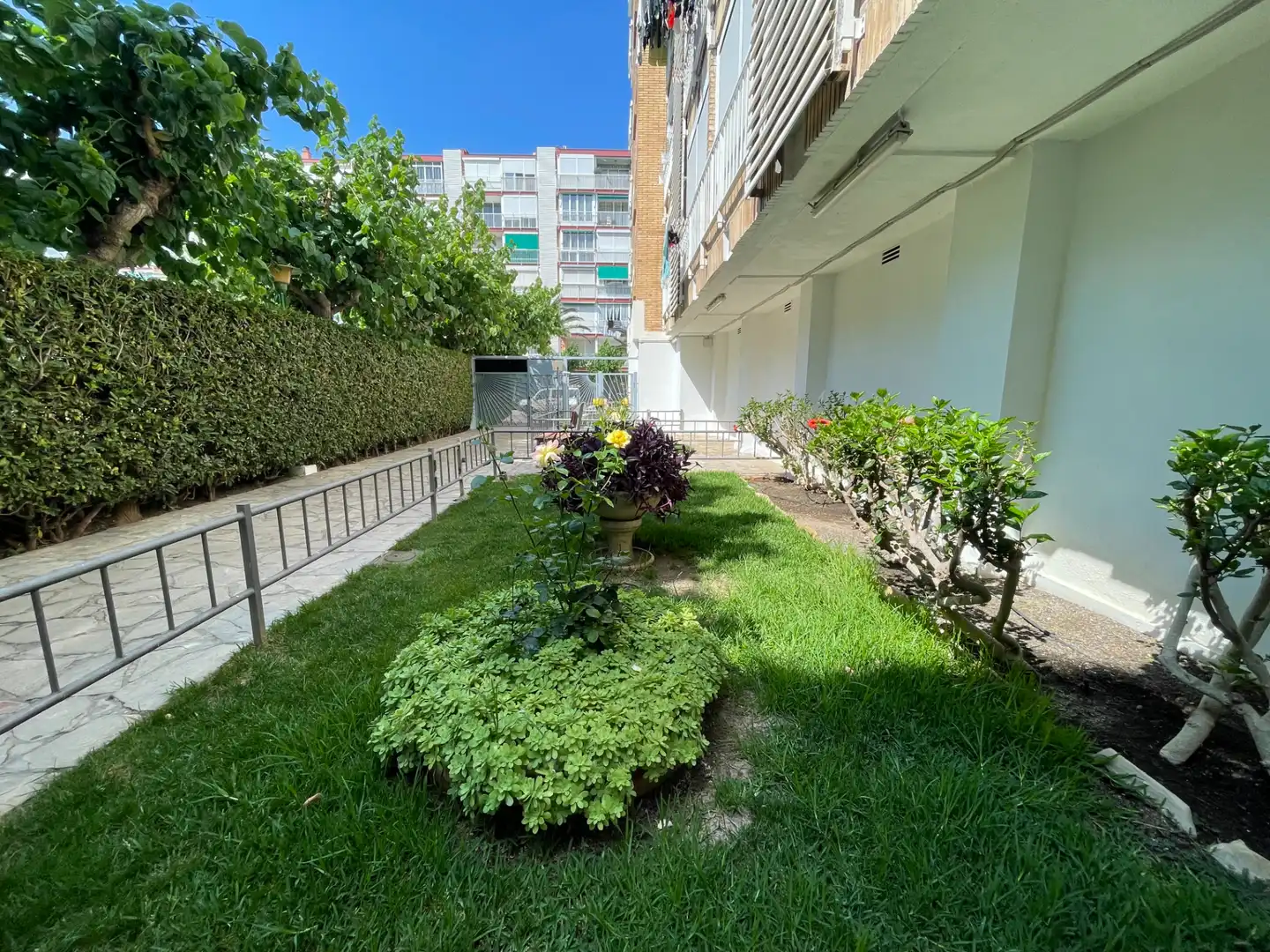 Estudi de lloguer a Carrer de Joaquim Serra, La Pineda
