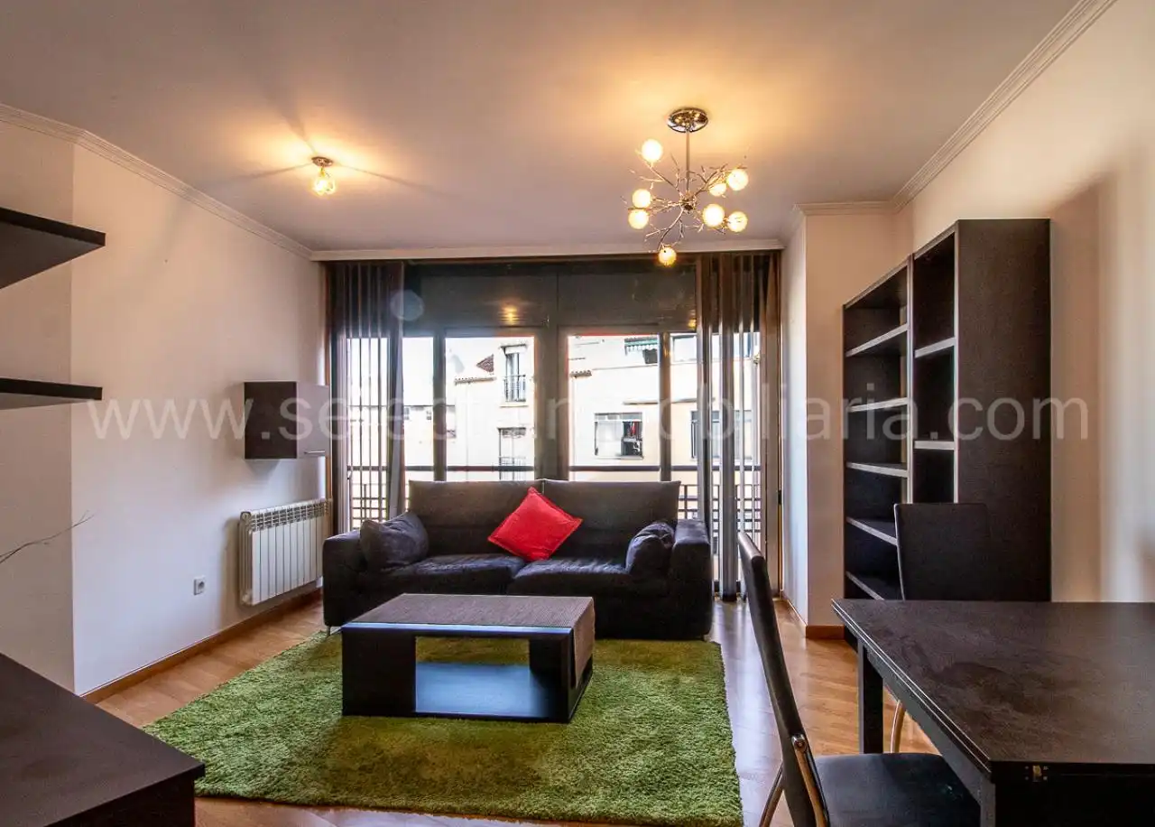 Sala d'estar de Apartament de lloguer en Pontevedra Capital  amb Calefacció, Traster i Moblat