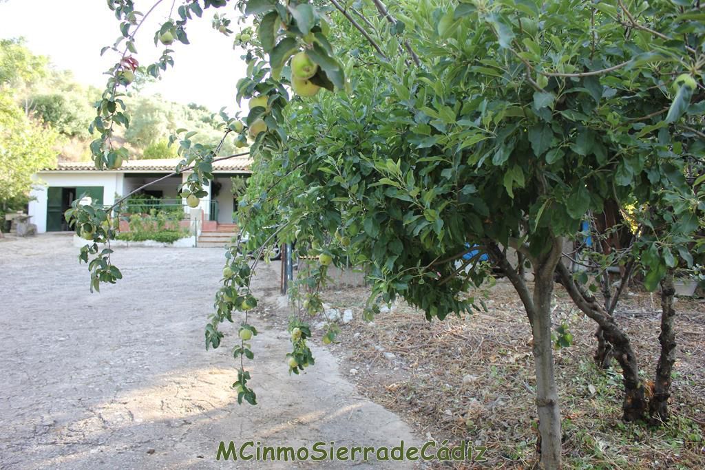 Garden of Country house for sale in Zahara  with Air Conditioner, Heating and Private garden