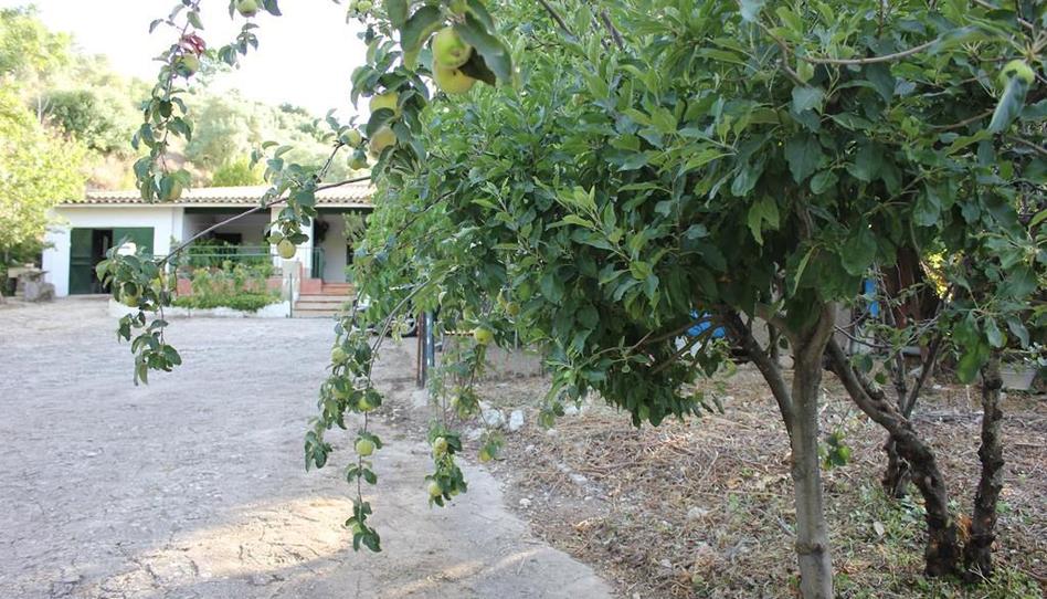 Photo 1 of Country house for sale in Zahara, Cádiz