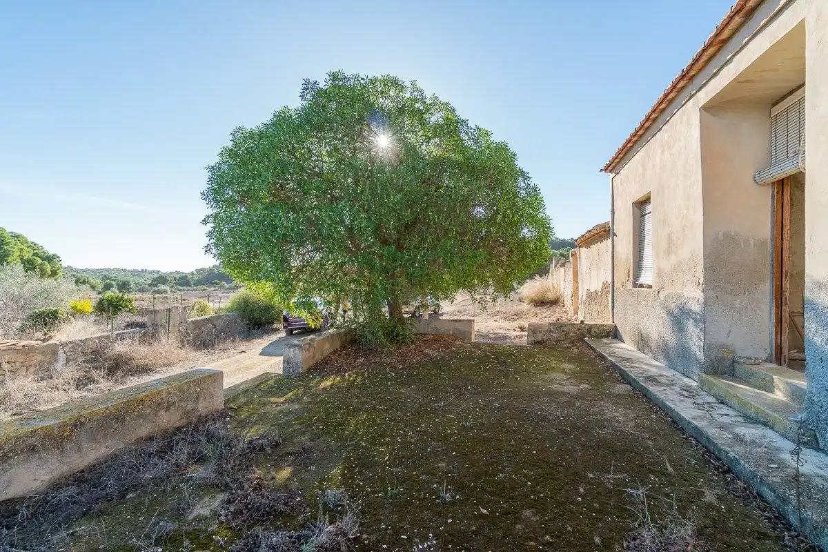 Terreno residenziale in vendita a El Pinar de Campoverde, imagen 7