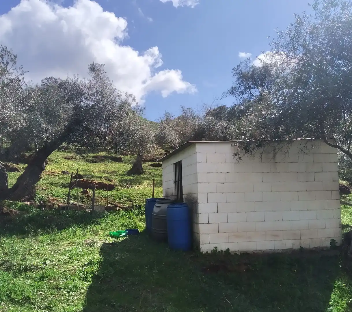 Terreni e lotti in vendita a Jerez de los Caballeros, imagen 23