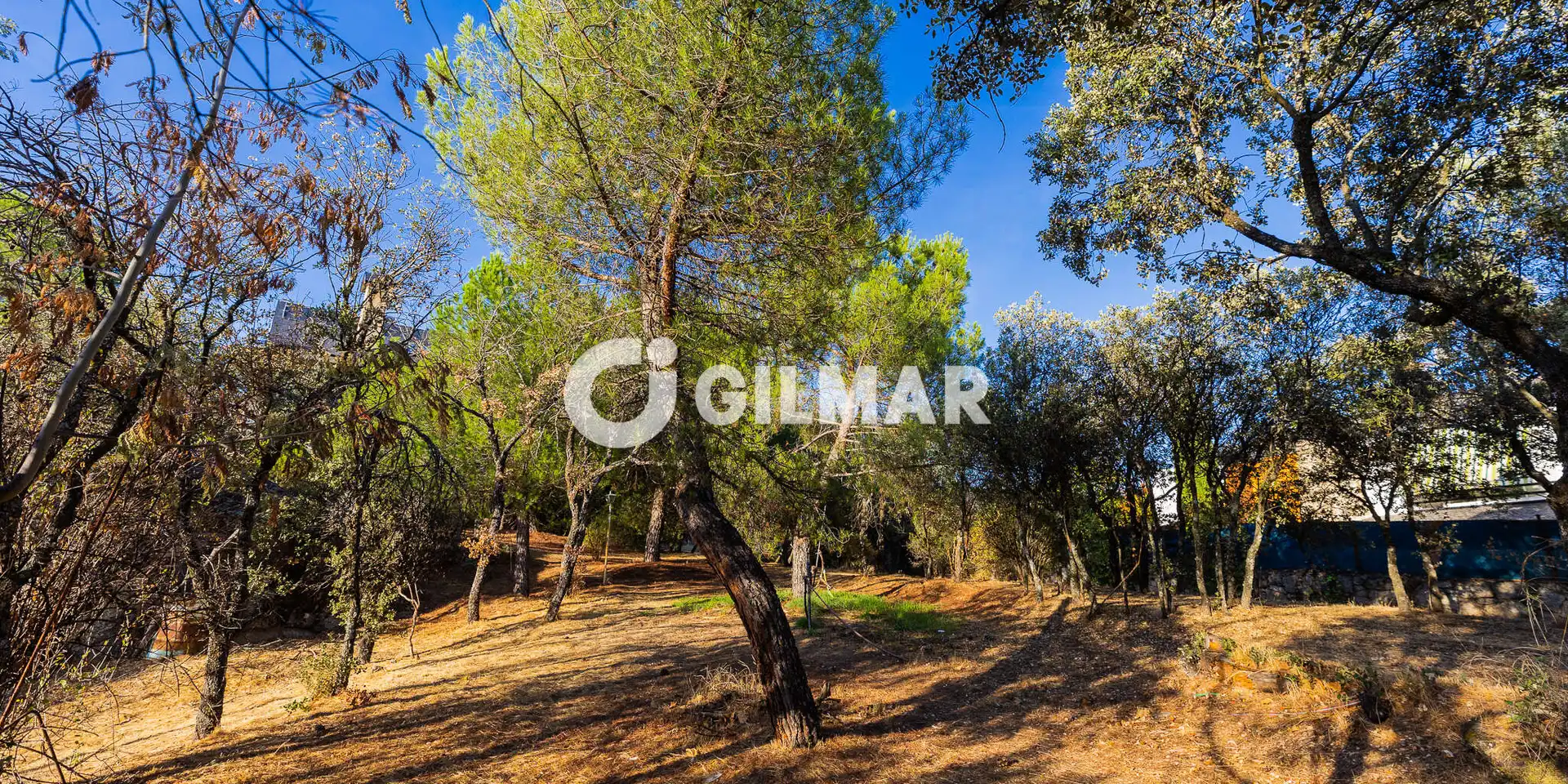 Residencial en venda en Madrid