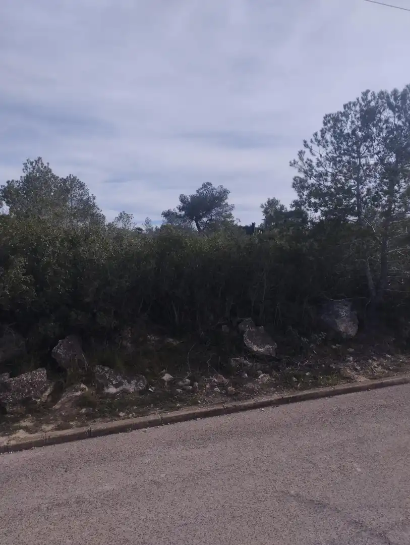 Residential land for sale in La Bisbal del Penedès, imagen 5