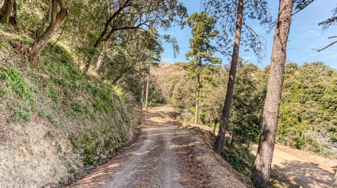 Photo 3 of Country house for sale in Tordera pueblo, Barcelona