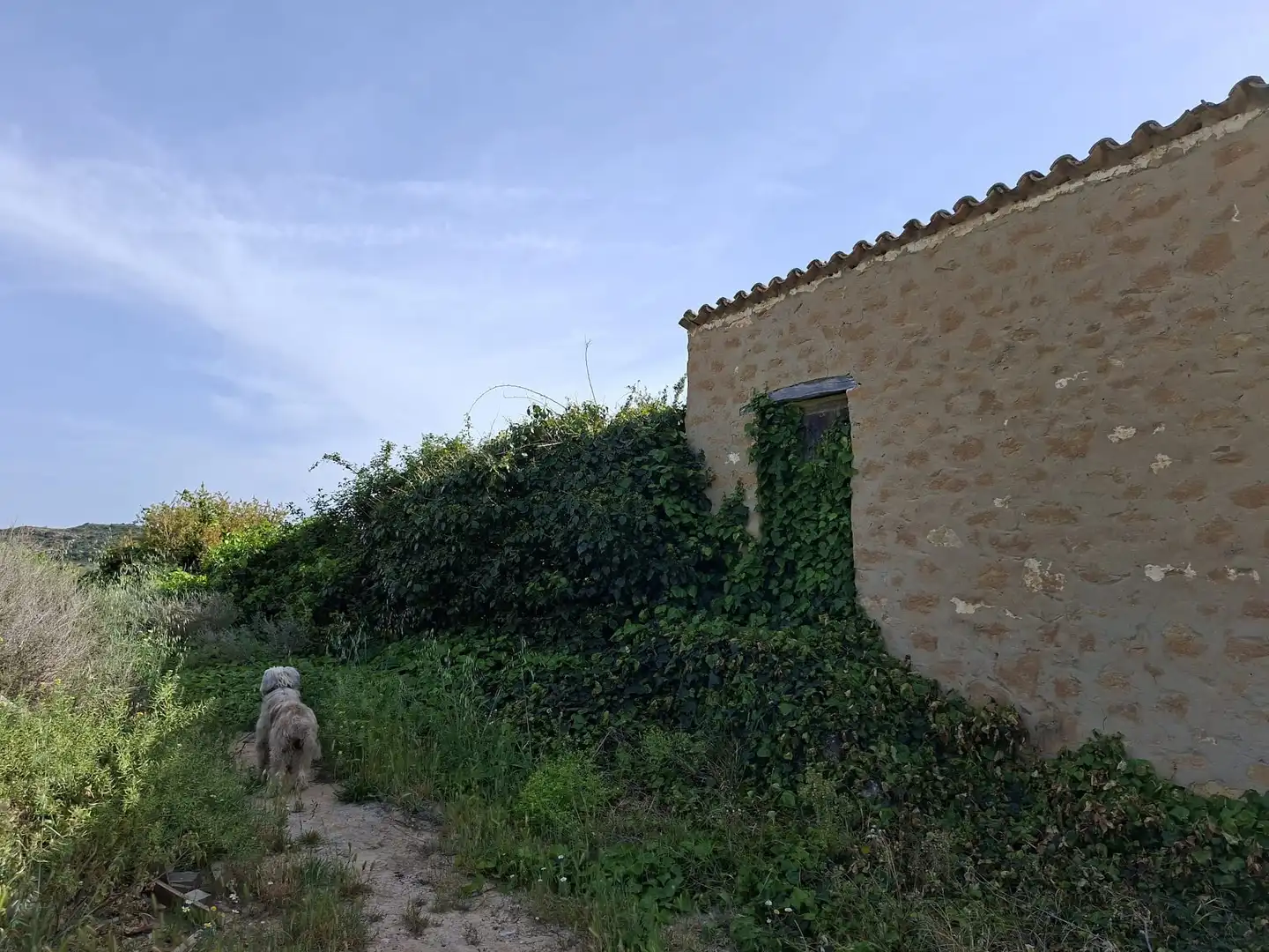 Finca rústica en venda en Caspe