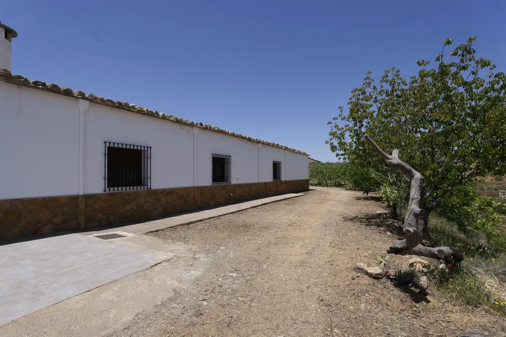 Vista exterior de Casa o xalet en venda en Murtas amb Jardí privat, Terrassa i Piscina