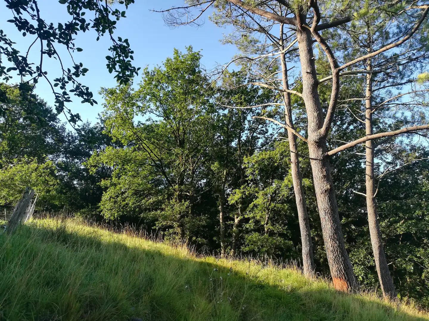 Terreno en venta en Jaitzubia Auzoa, 69, Hondarribia