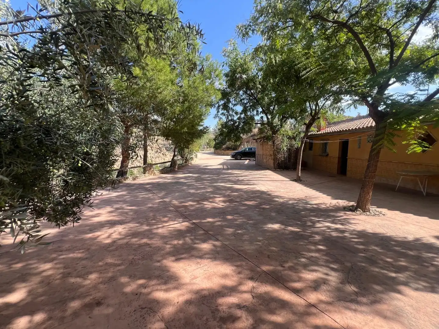 Business premises for sale in Abanilla