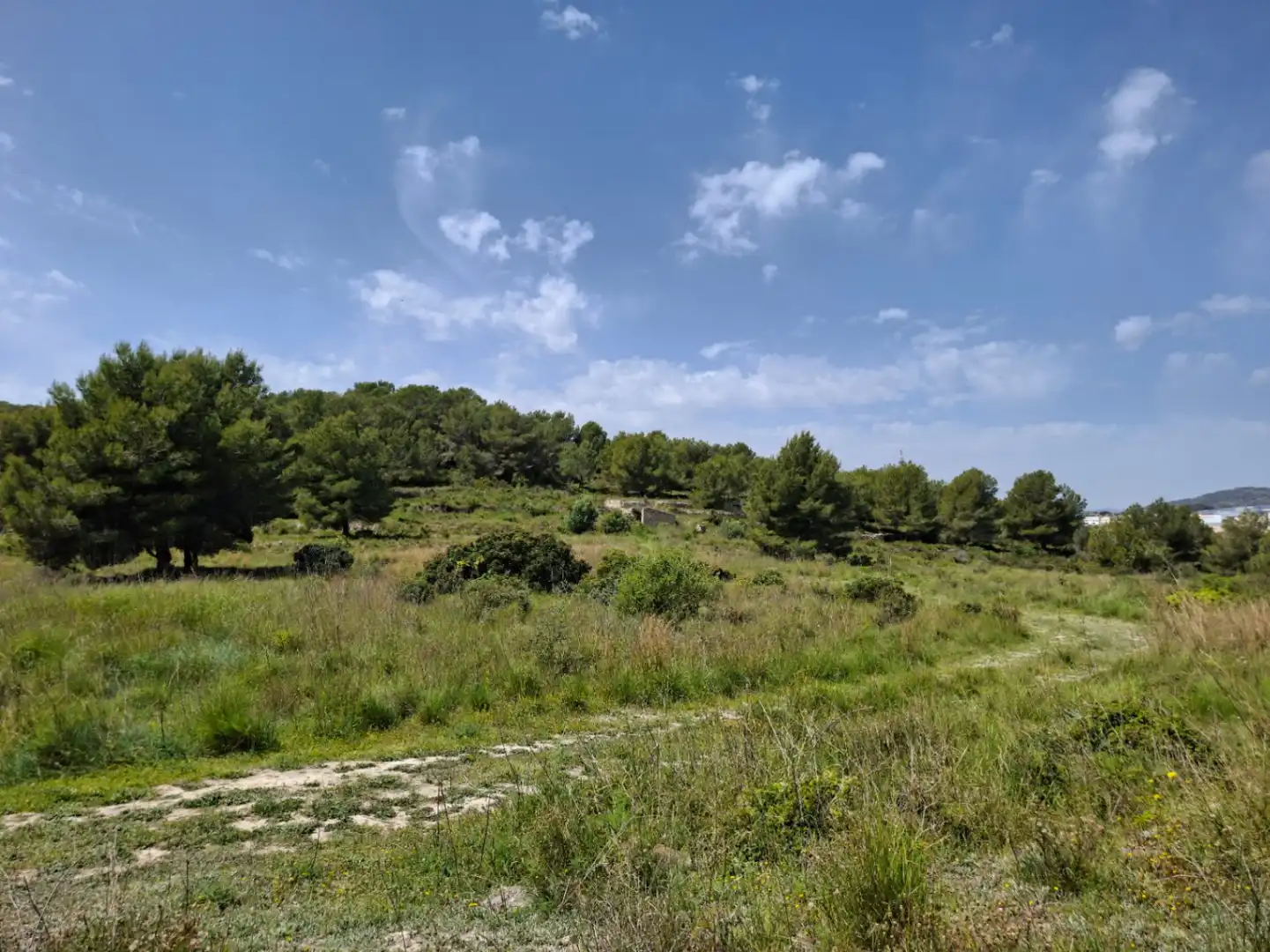 Maison rustique avec jardin à vendre à Teulada, imagen 10