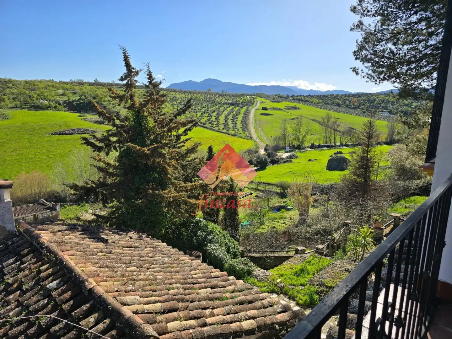 Jardín de Casa o chalet en venta en Ronda con Terraza, Trastero y Piscina