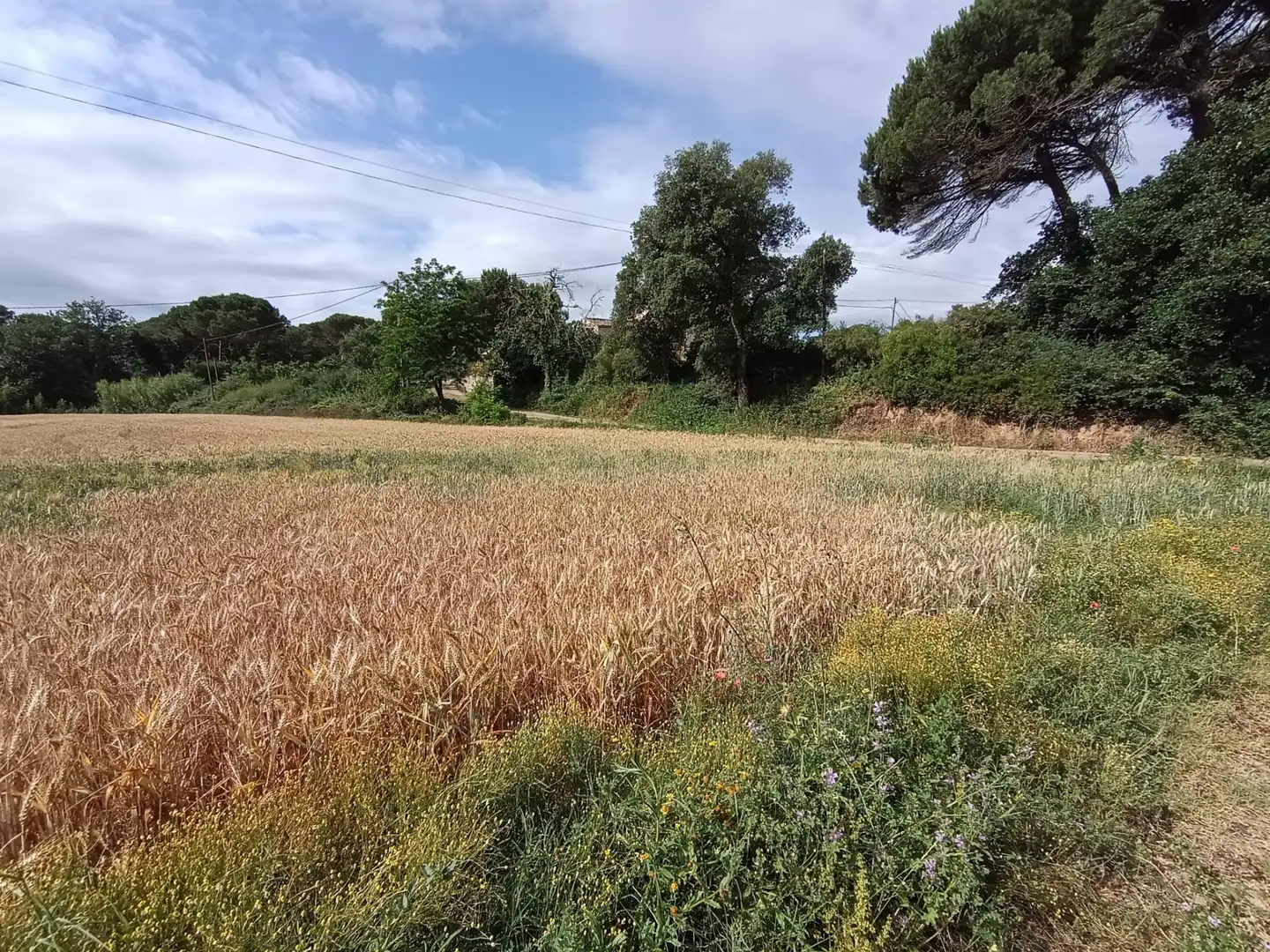 Finca rústica en venda en Caldes de Malavella amb Terrassa