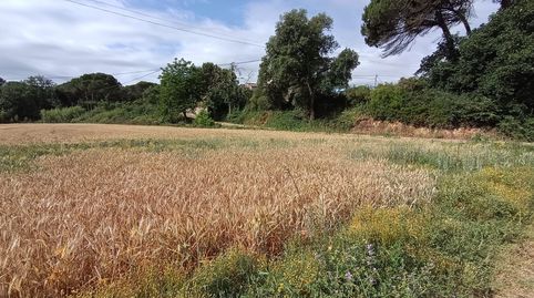 Foto 3 de Finca rústica en venda a Can Tarnet, Caldes de Malavella, Girona