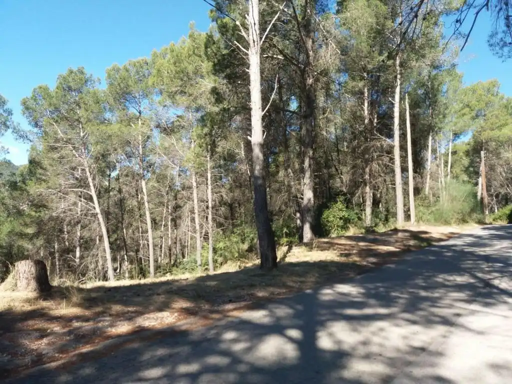 Terreny rústic en venda a MARE DE DEU DE MONTSERRAT, imagen 5