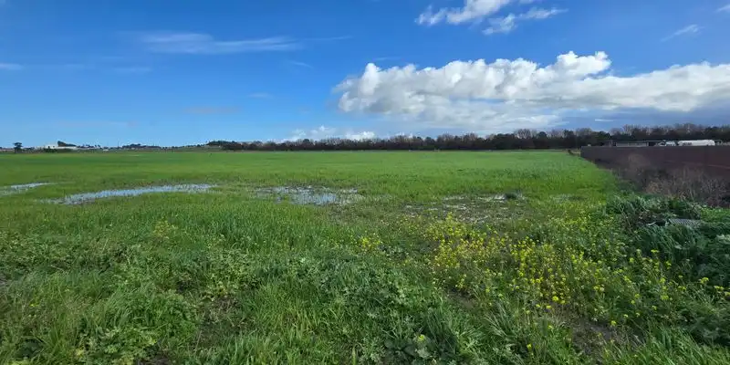 Terreni e lotti in vendita a Camino De Múnive - Reyerta, imagen 5