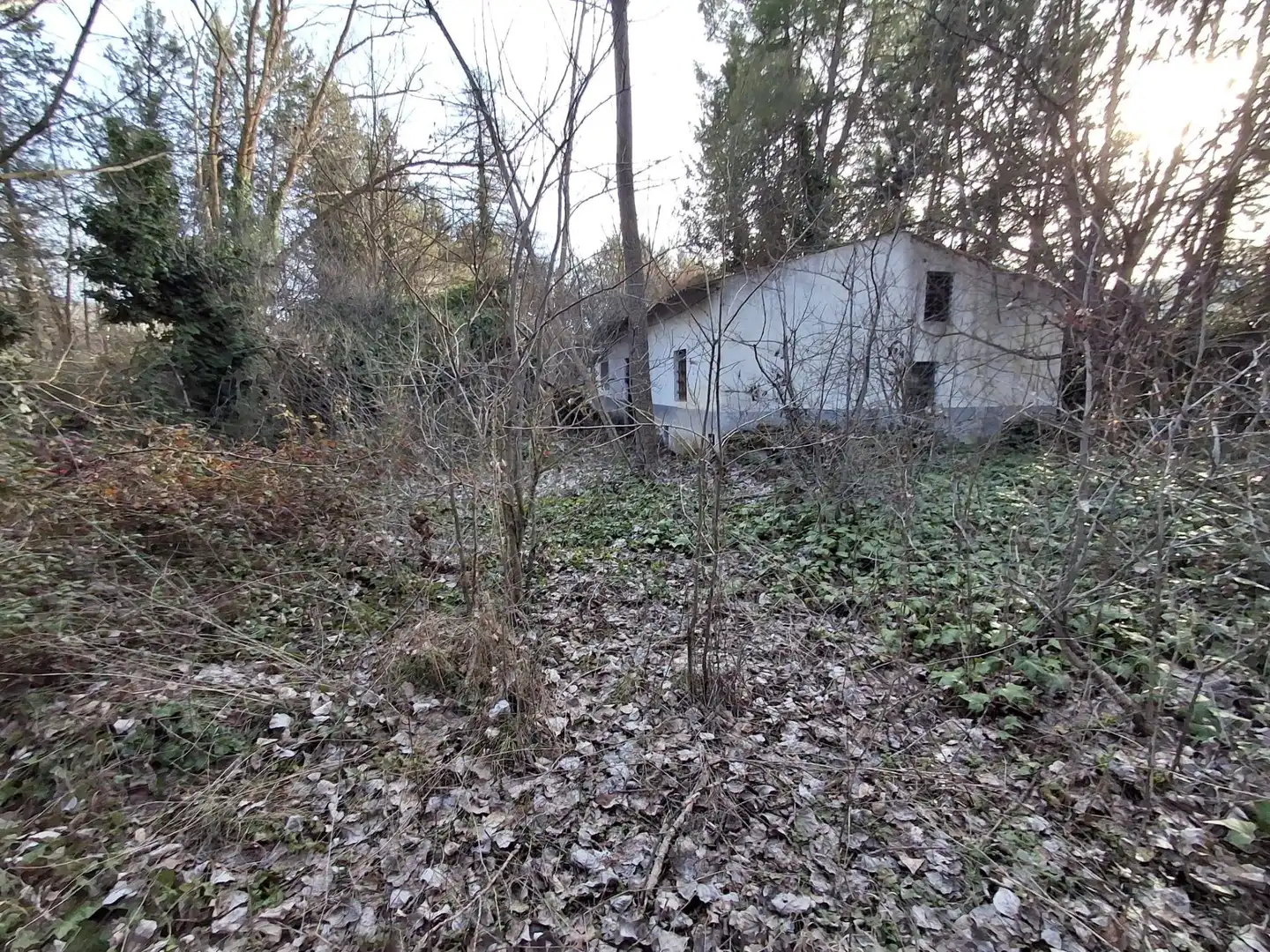 Houses for rent in Pezuela de las Torres