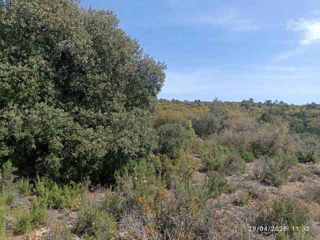 Terreno en Venta en Fuenterrobles