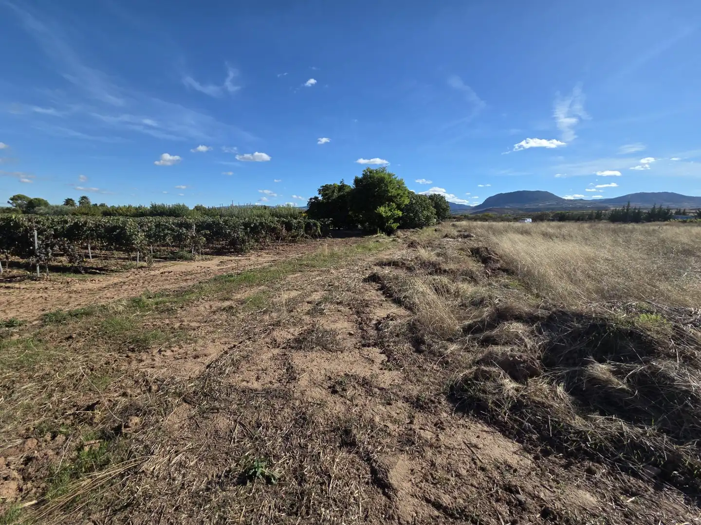 Terrain rustique à vendre à Alberite, imagen 14