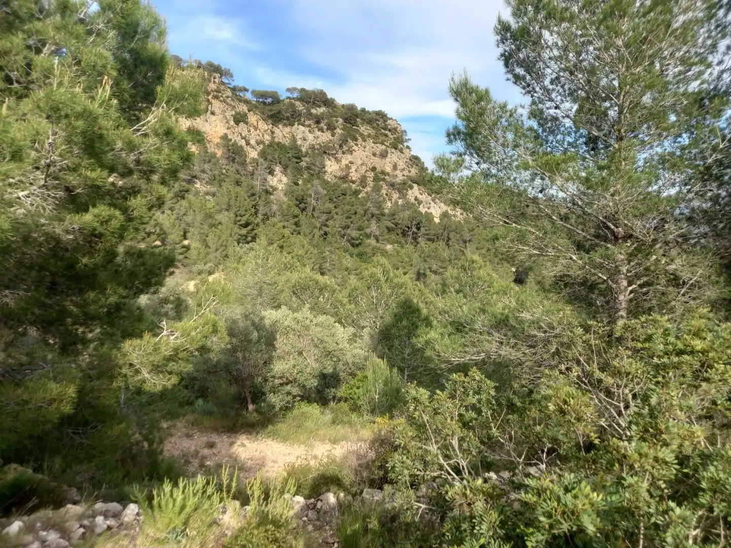 Rural land for sale in El Pinell de Brai, imagen 25