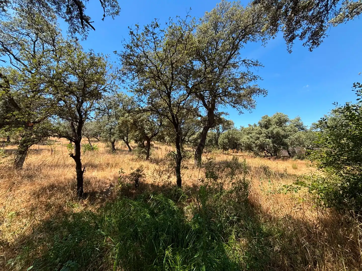 Residential land for sale in Paseo del Perú, imagen 7
