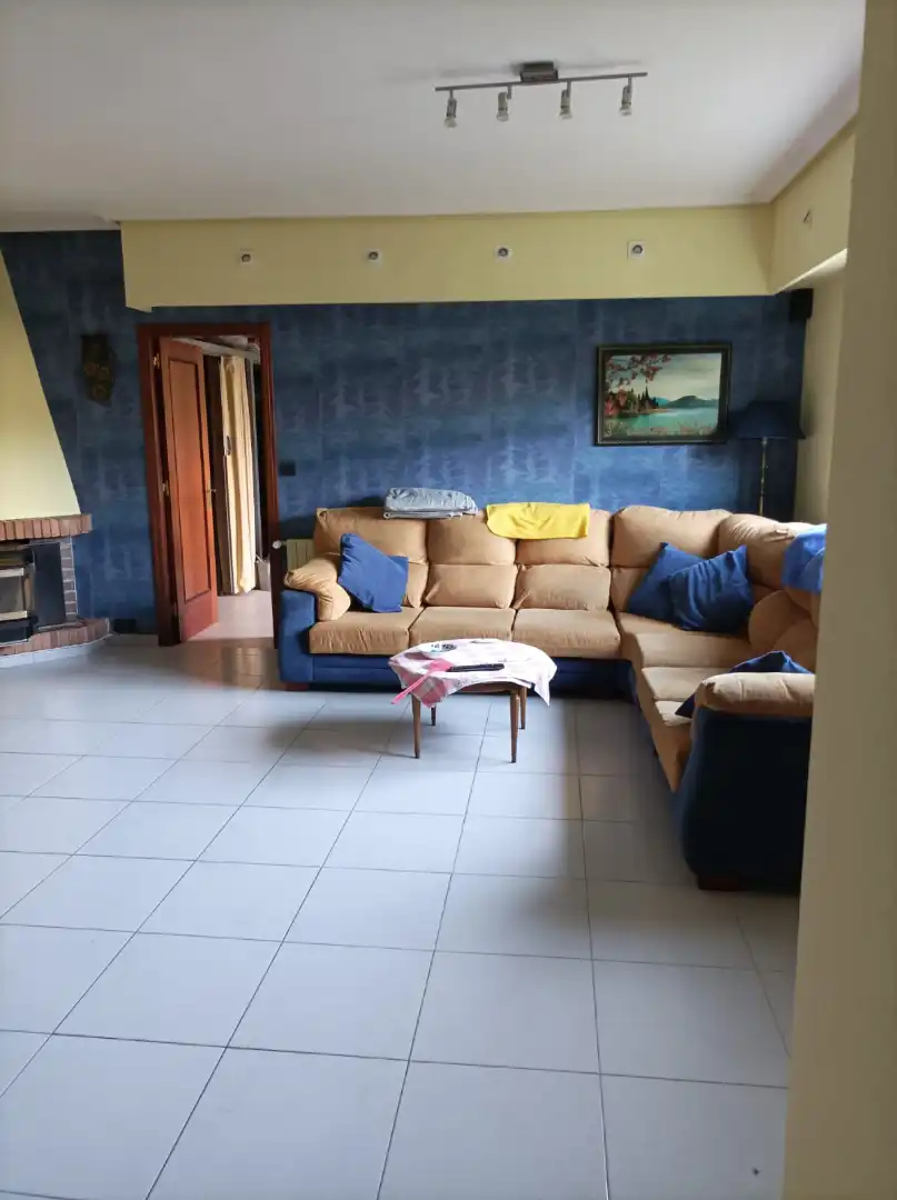Sala de estar de Casa o chalet en venta en San Cibrao das Viñas con Jardín privado, Terraza y Amueblado