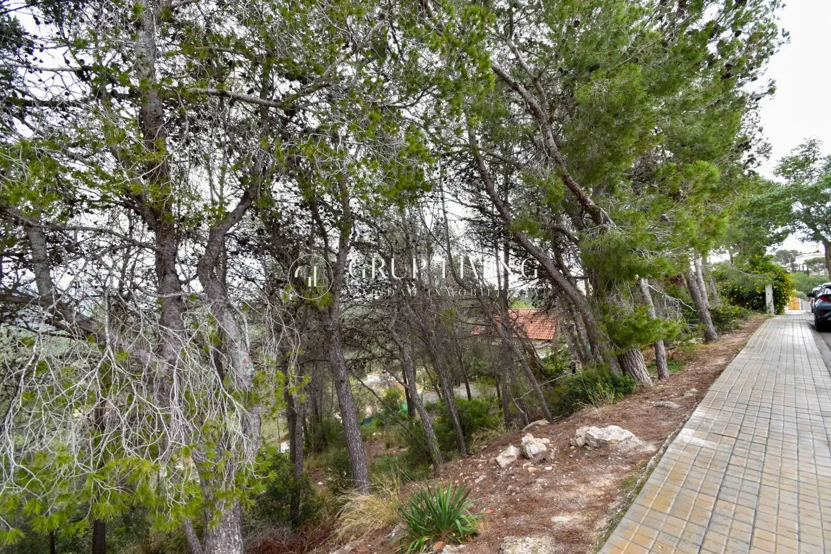 Residential land for sale in Can Lloses - Can Marcer, imagen 4