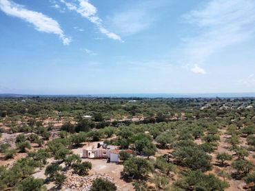 Country house for sale in L'Ampolla