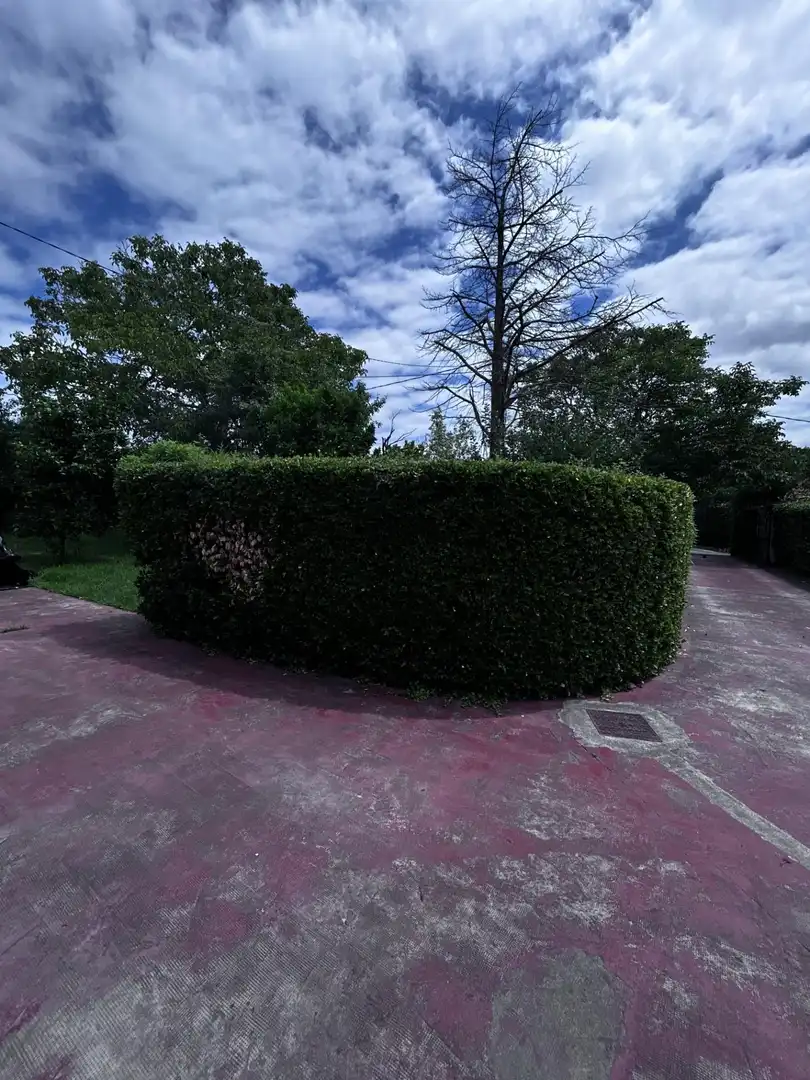 Casa con terraza en venta en Gorliz, imagen 47