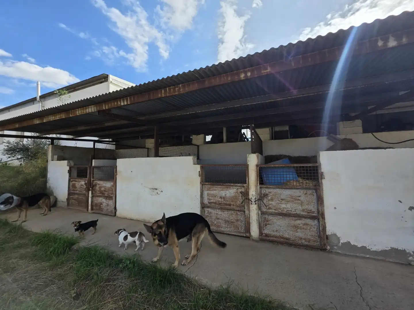 Landhaus mit Garten zum Verkauf in Avenida Santa Ana, imagen 6