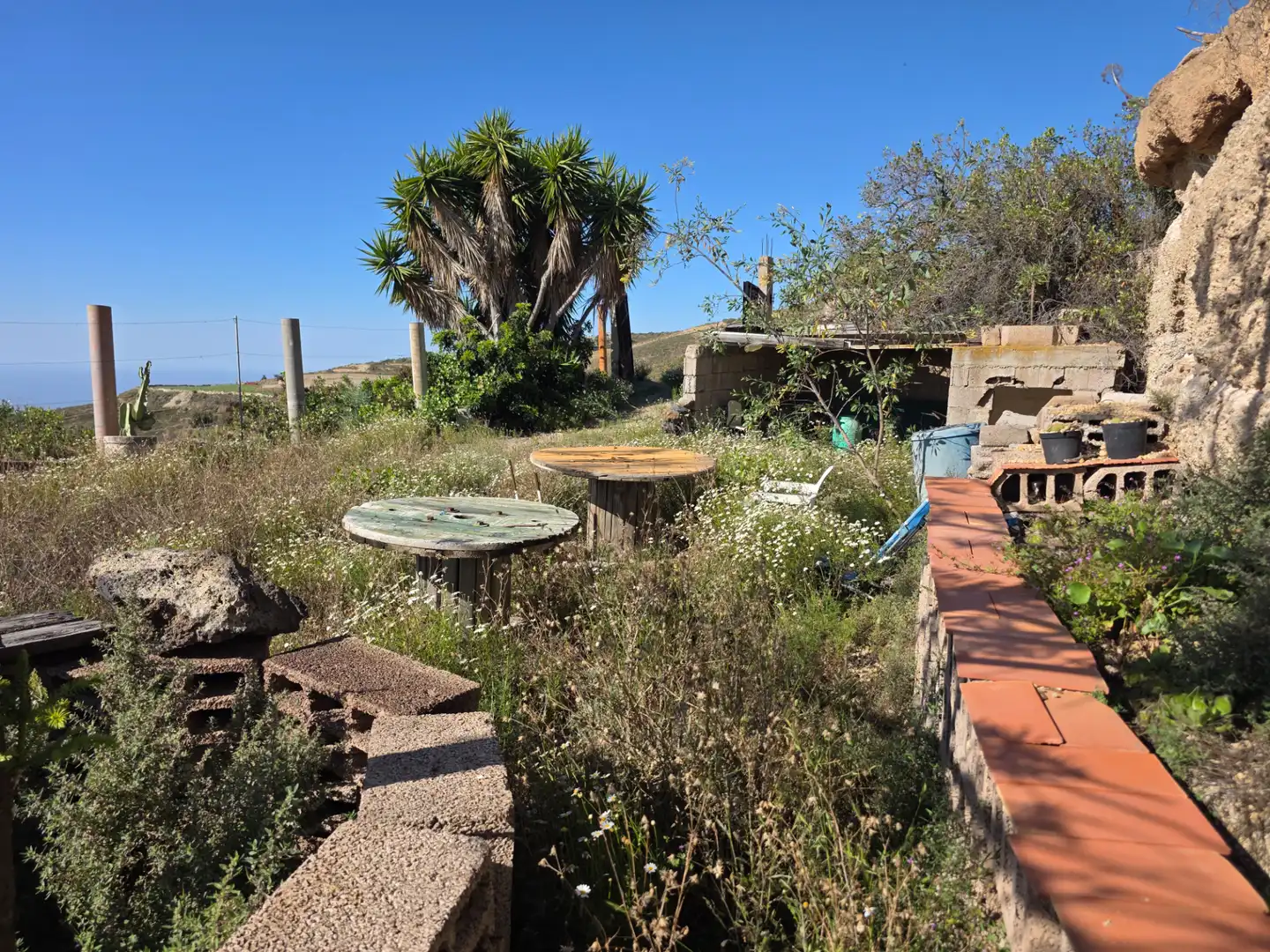 Garten von Grundstücke zum Verkauf in Güímar