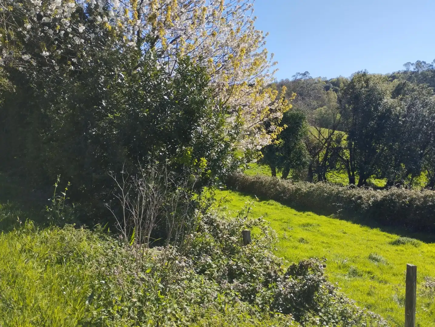 Casa o xalet en venda en As Somozas  amb Calefacció, Jardí privat i Moblat