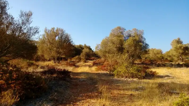 Terreny residencial en venda a Llevant