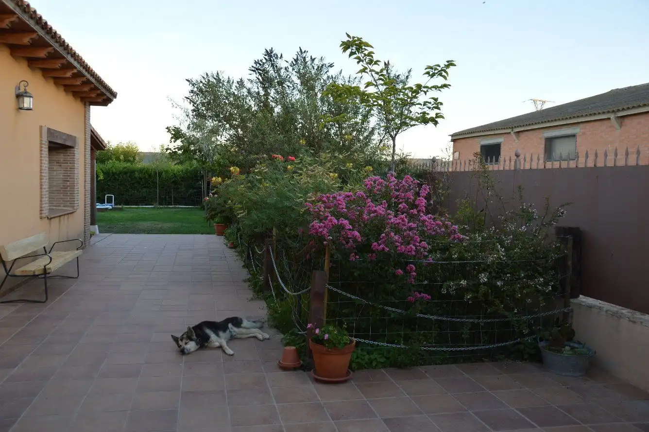 Jardín de Casa o chalet en venta en Torre del Burgo con Aire acondicionado, Jardín privado y Terraza