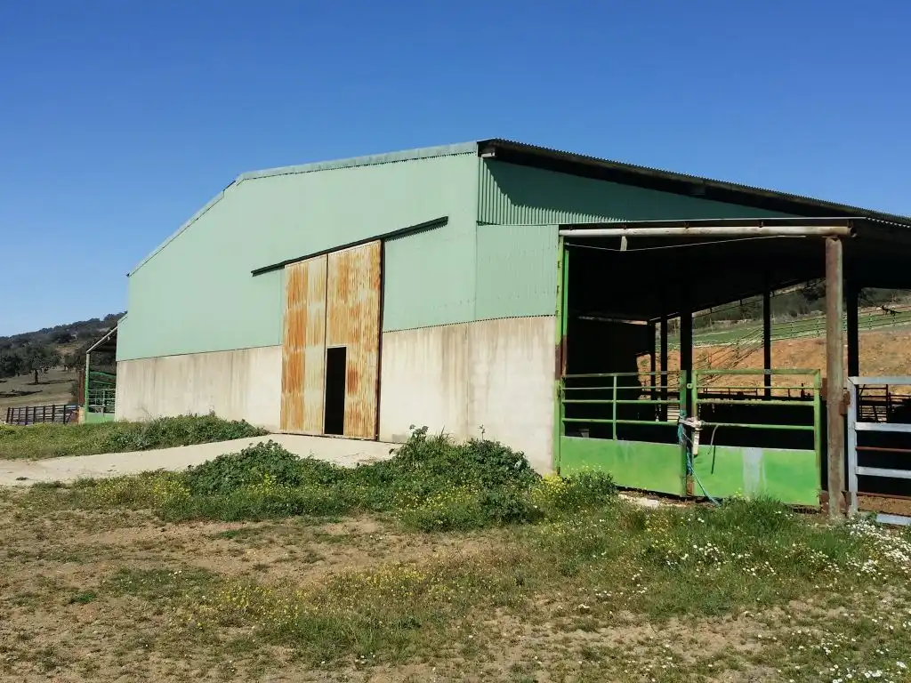 Landhaus mit Garten zum Verkauf in Peñarroya-Pueblonuevo, imagen 3