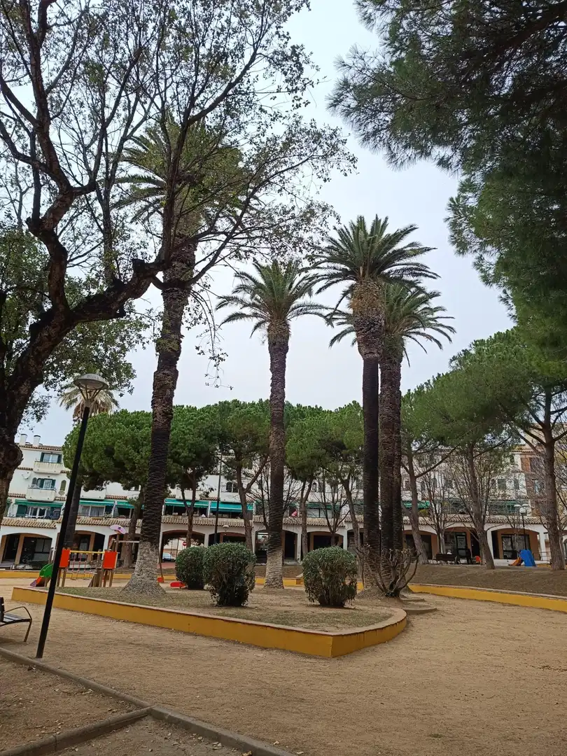 Terraced house with terrace for sale in Plaza Plaza Palmeres, imagen 31